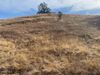 30701 Buckskin Drive Drive Lot 9 photo